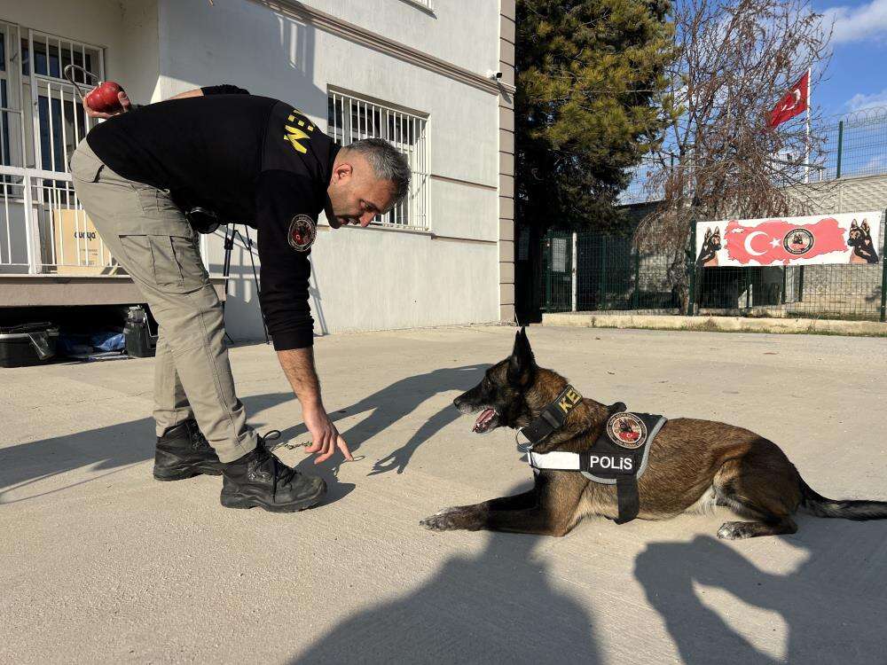Konya’daki hassas burunların oyunu zehir tacirlerini yakıyor 2